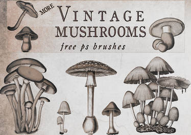 Vintage Mushrooms 2 brushes for photoshop