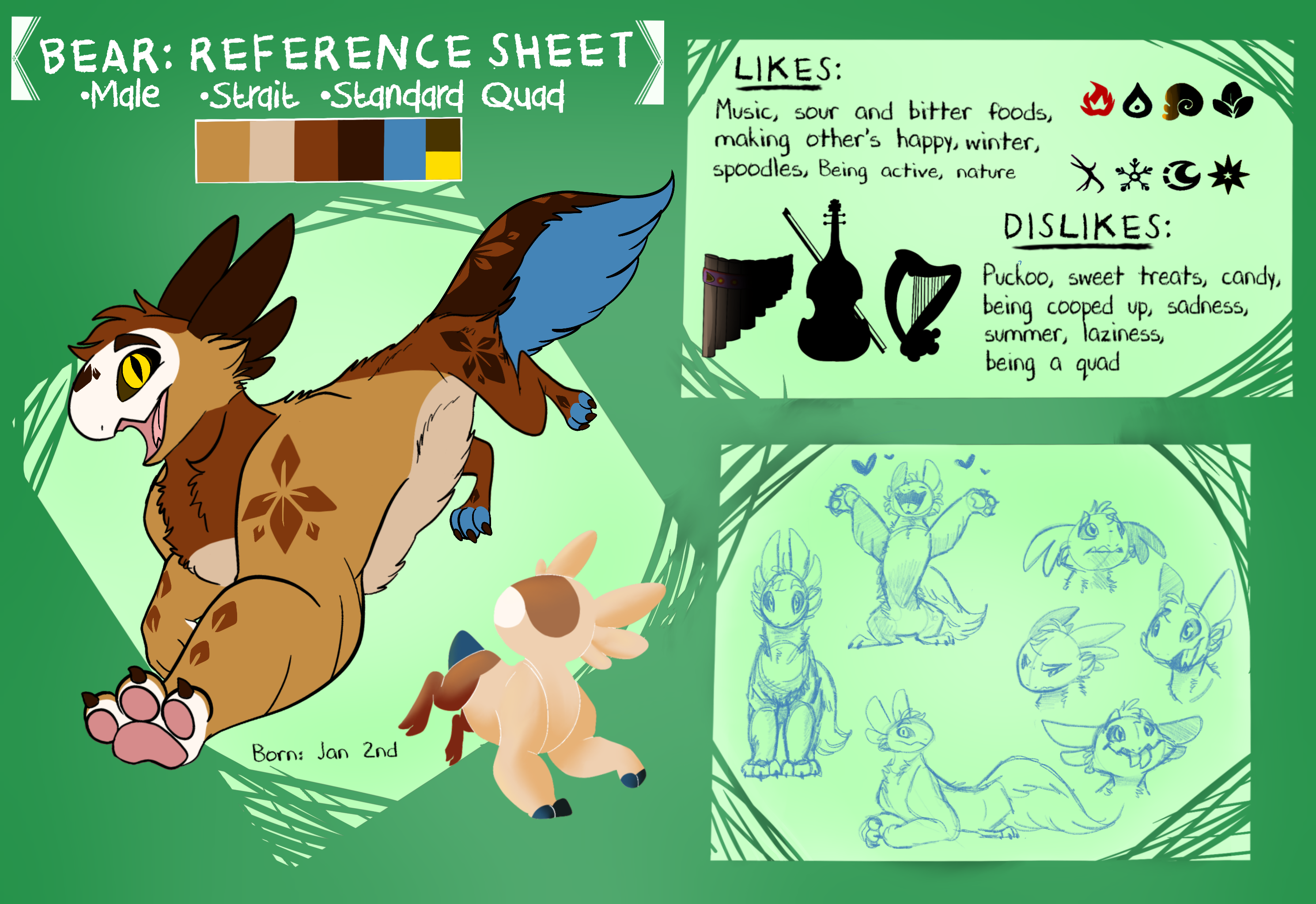 Bear Reference Sheet