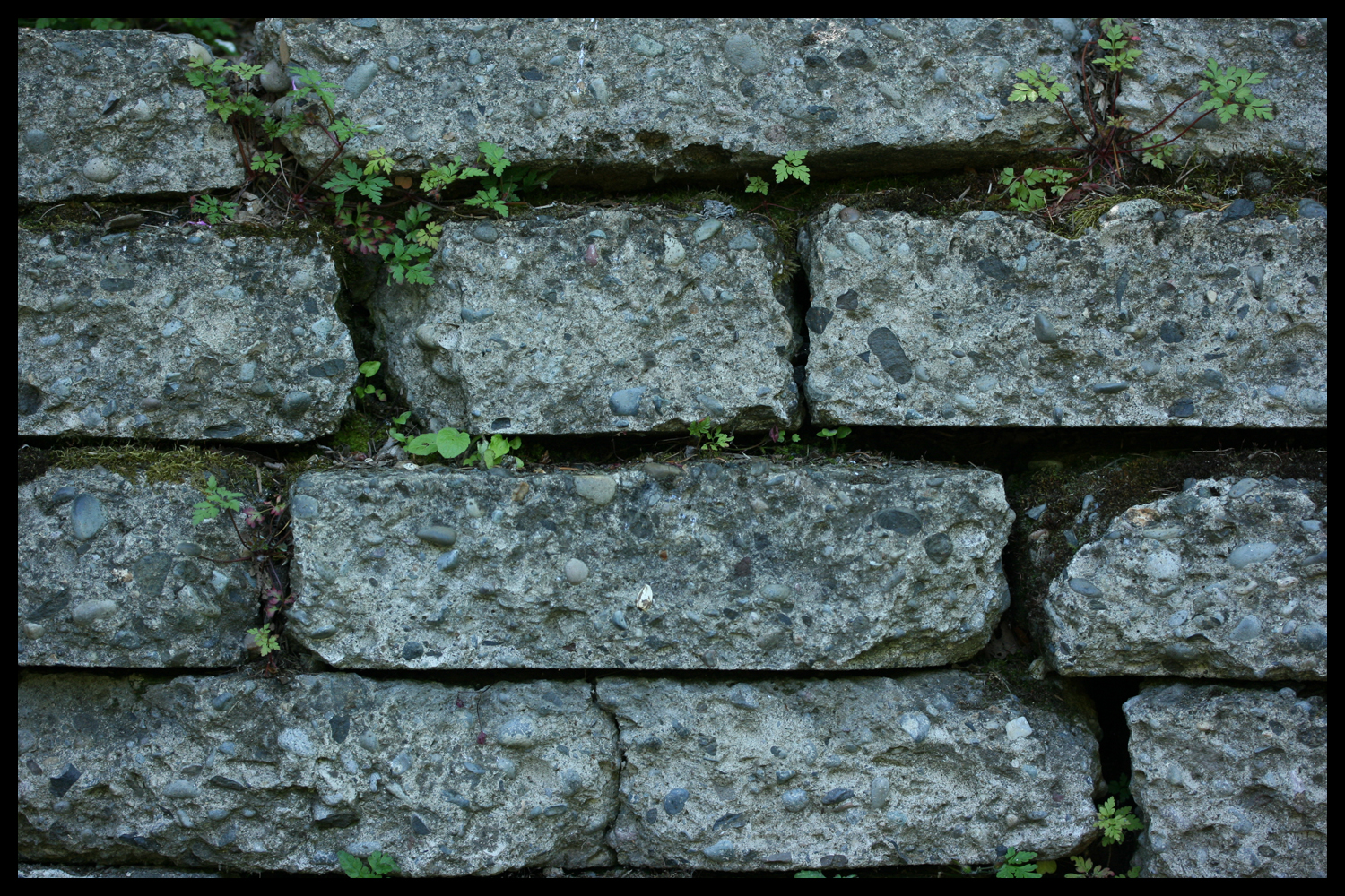 Brick Tile Texture by Maxidius