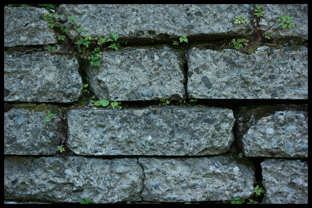 Brick Tile Texture by Maxidius