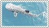 whale shark stamp