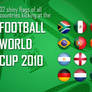Flag Icons - FIFA WC 2010