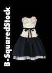 Black and White Mini Dress PSD