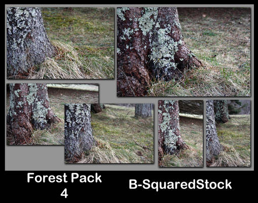 Forest Pack 4