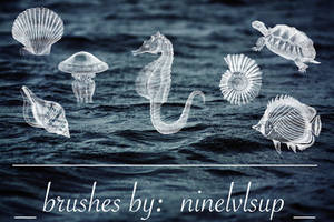 Sea Life Sampler - by ninelvlsup