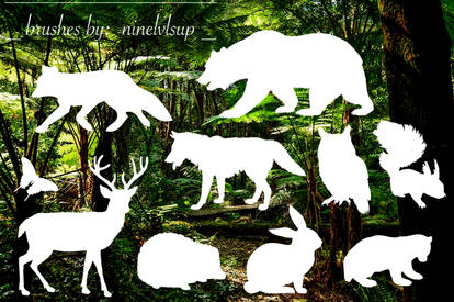 Woodland Animals Brushes