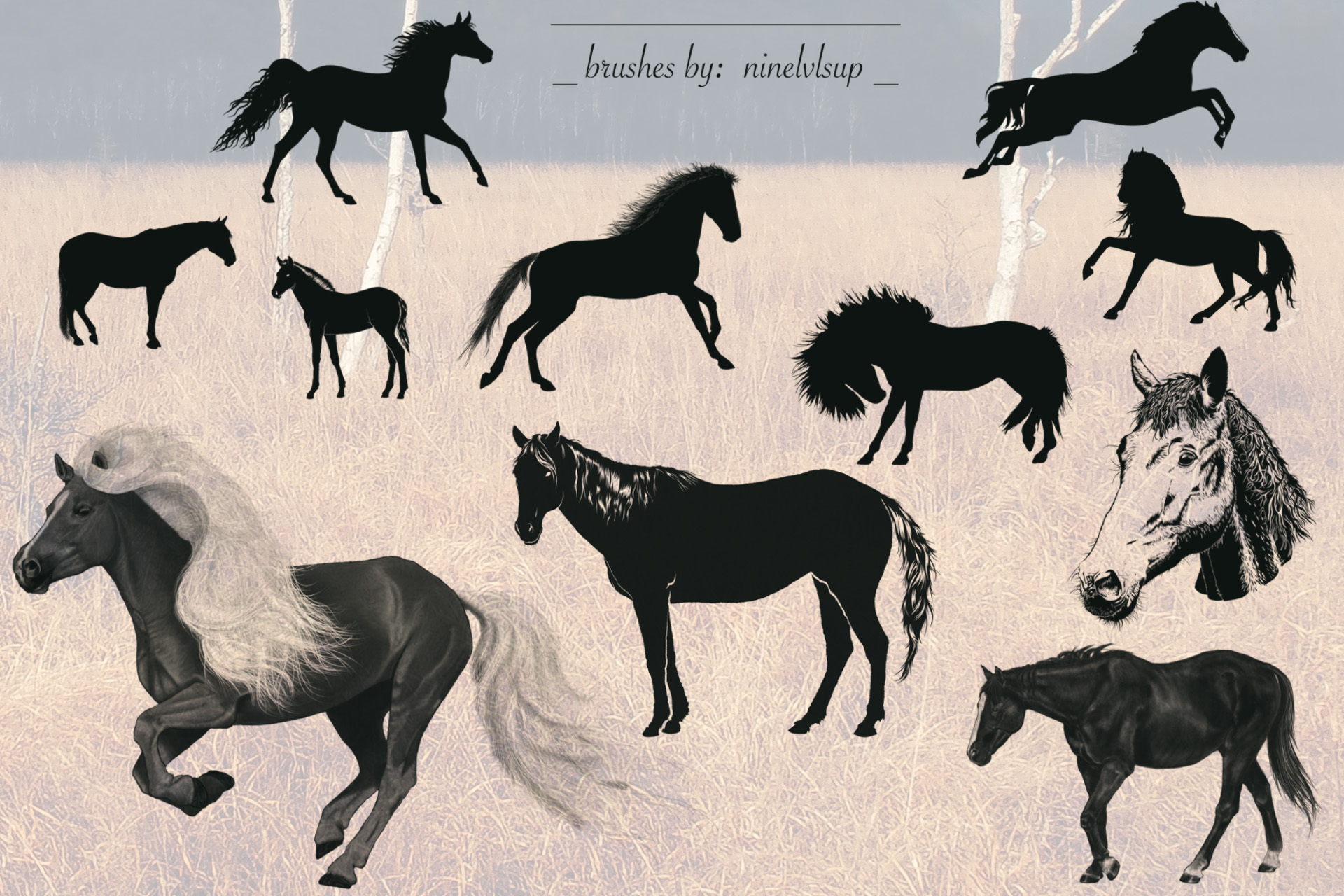 Horse Brushes by ninelvlsup on DeviantArt