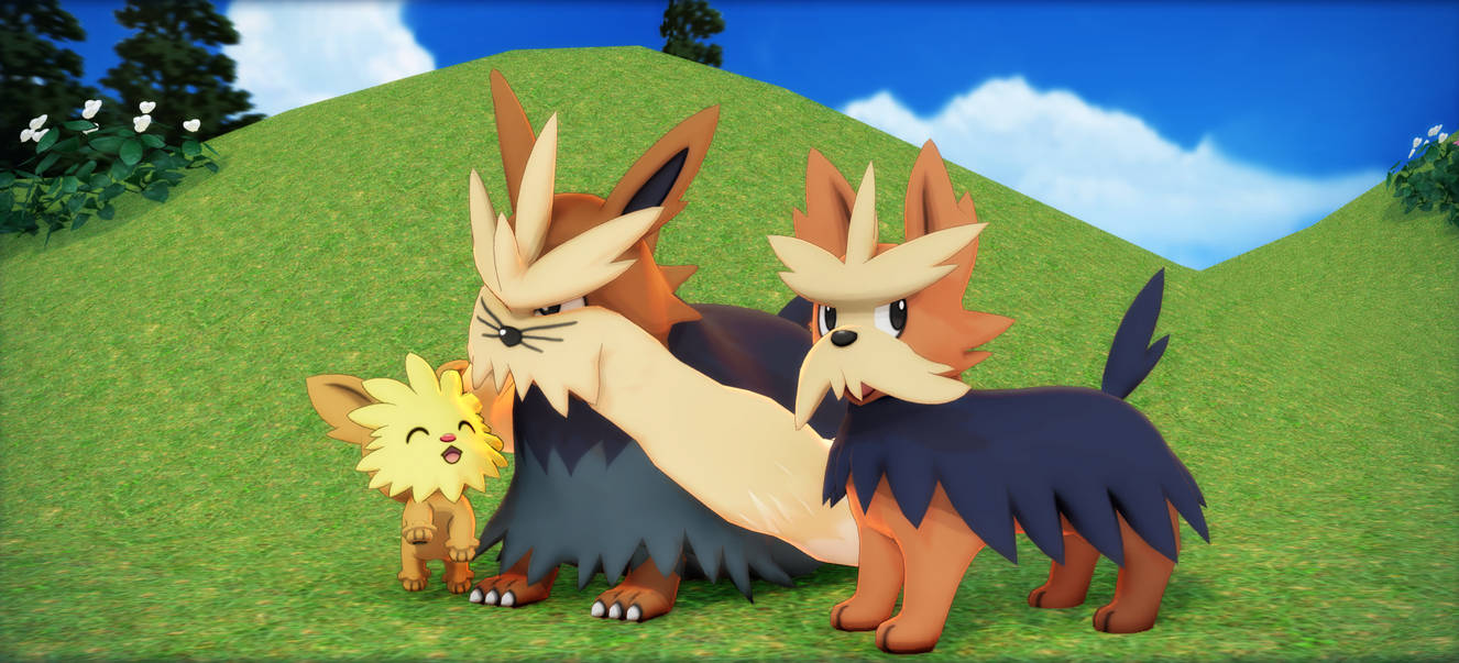 Stoutland family . Download . by kaahgome on DeviantArt