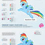 Rainbow Dash Color Guide 2.0 [UPDATED]