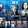 CSI NY DVD Case v2 Pack