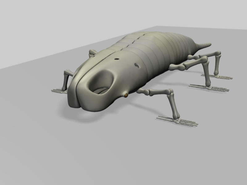 Xenos skeleton walk cycle animation by kiml42 on DeviantArt