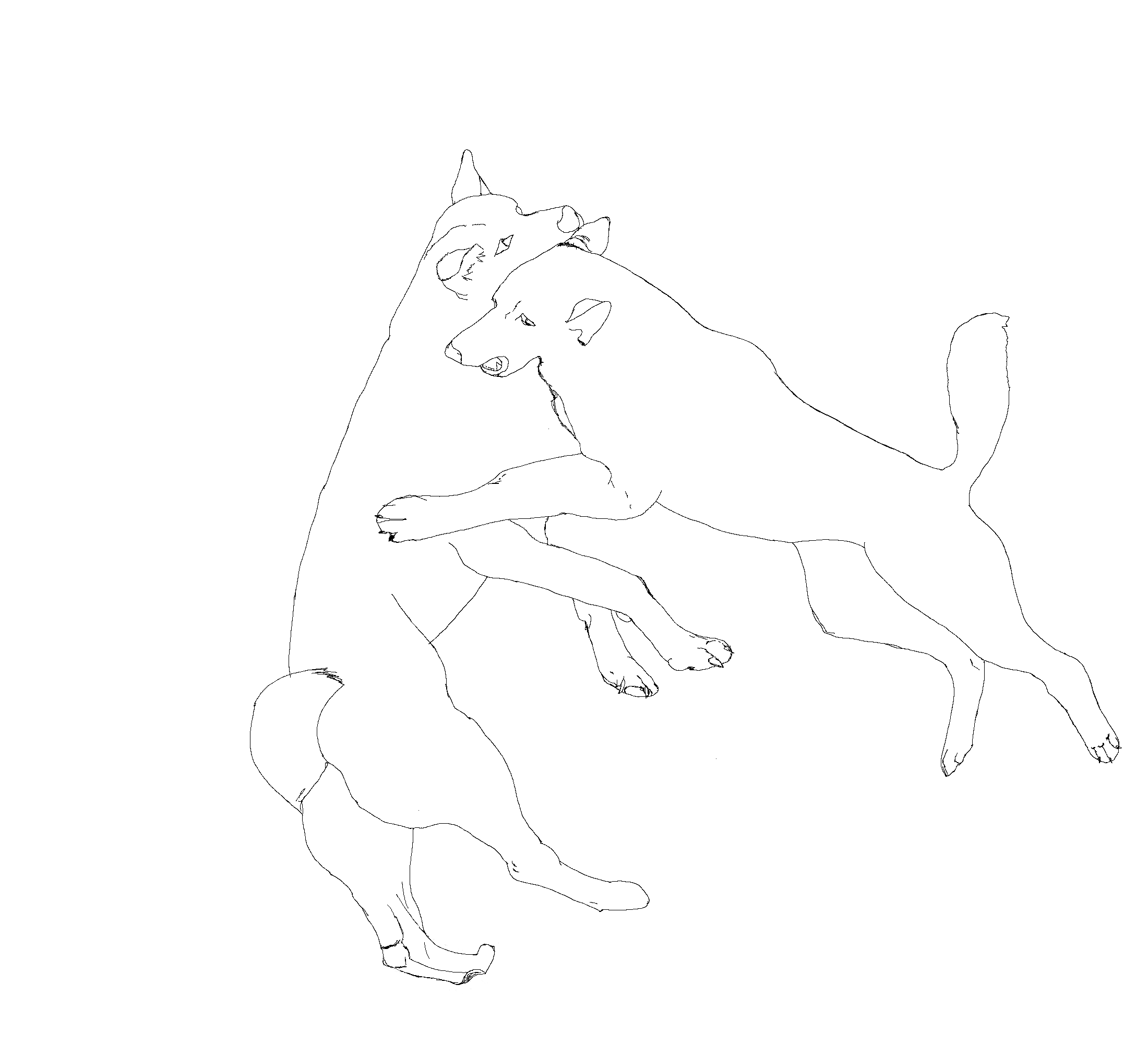 Wolves At Play by clupis on DeviantArt