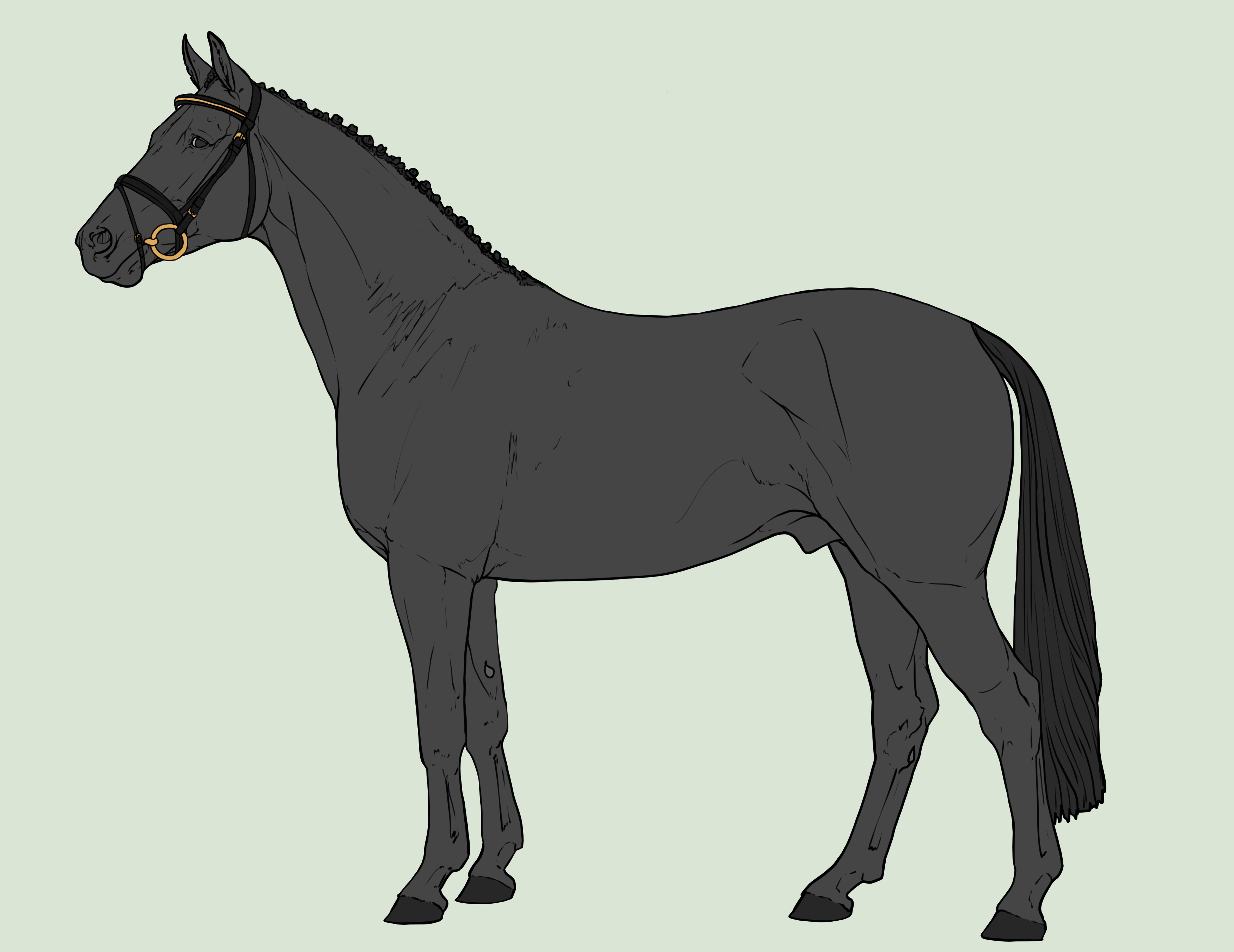 Free Lineart: Warmblood