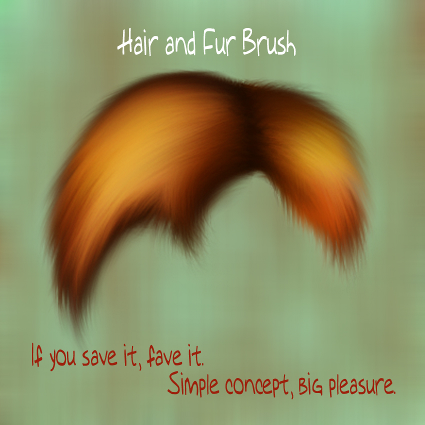 Hair and fur Brush