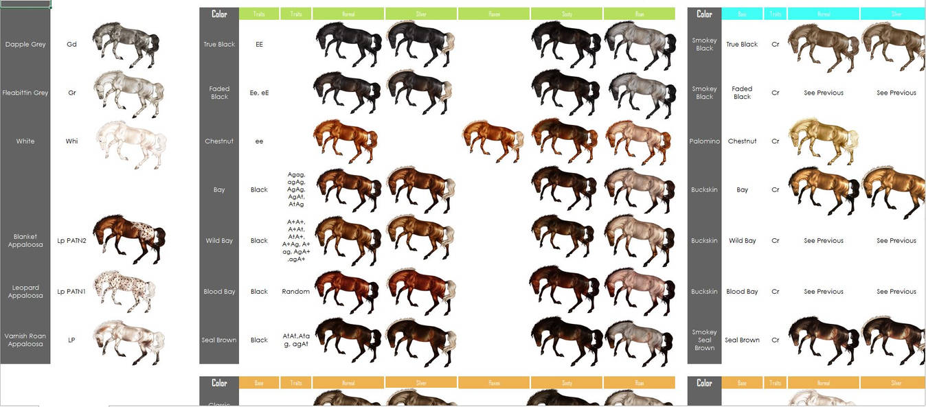 Equine Color Genetics Chart