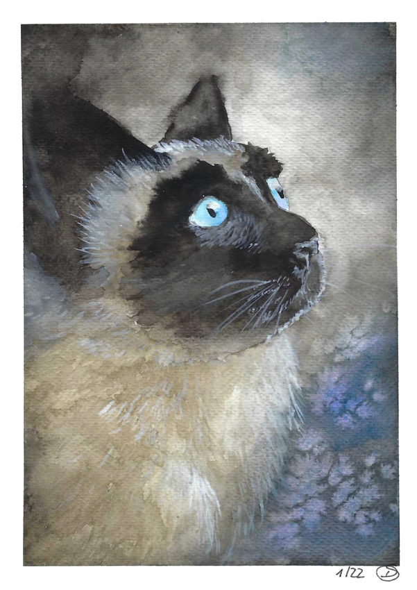 2022-01 | Siamese cat by desiree-sattler on DeviantArt