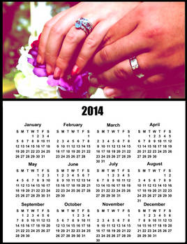 2014 Yearly Brushes