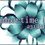 GIMP Summer Time Floral