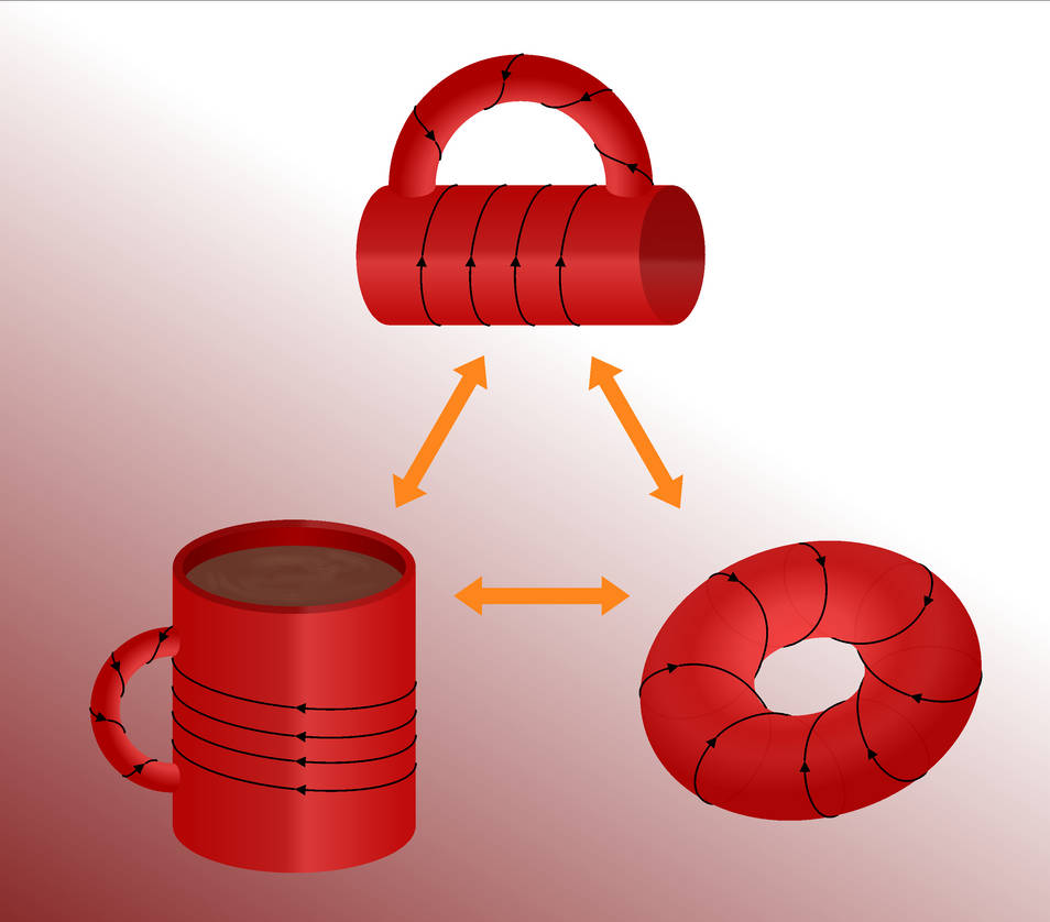 Coffee Cup Topology by maschen on DeviantArt