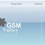GSM Valley Banner