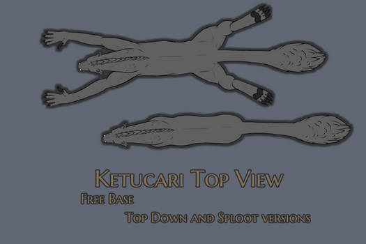 [KETUCARI] Top View and Sploot base