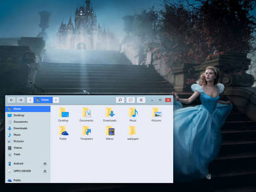 Metronesia Theme GTK-2/GTK-3