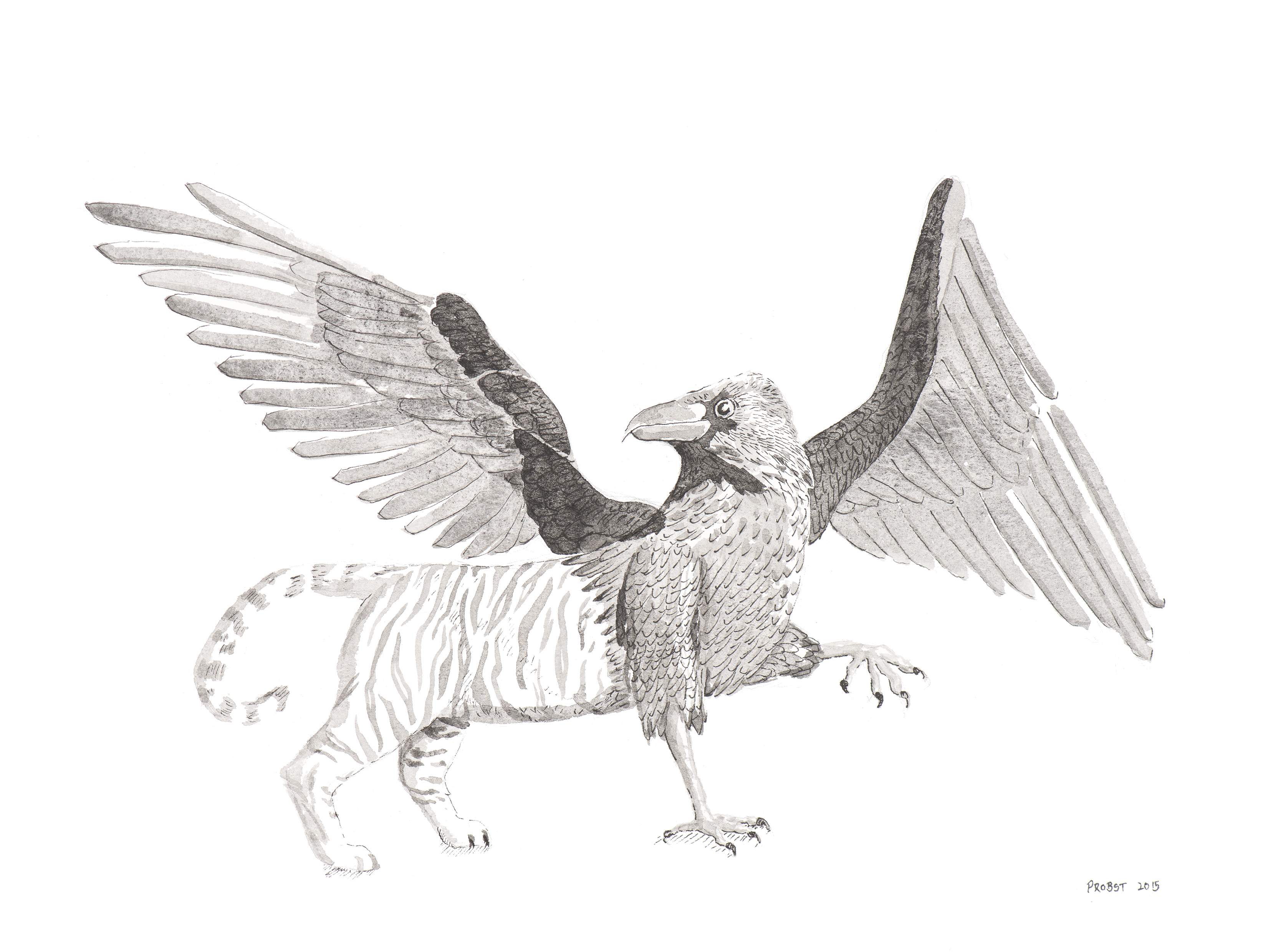 Crow Griffon