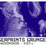 Fingerprint Grunge Set 1