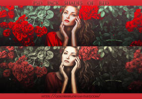 PSD 12 - Pack - Shades of Red - by goldbiebs
