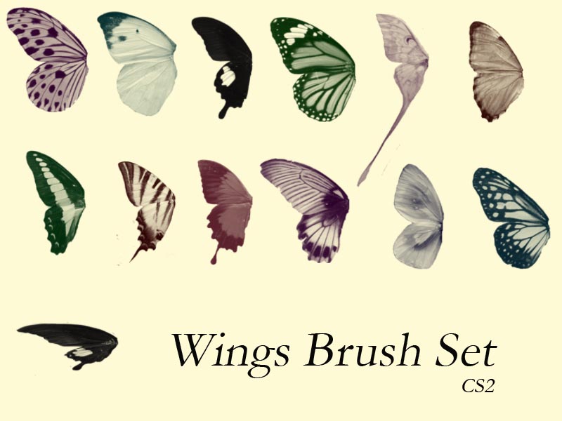 Butter Wings Brush Set by DeviantNep