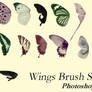 Butter Wings Brush Set - PS7