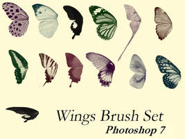 Butter Wings Brush Set - PS7