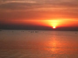 Sunset Video Egypt