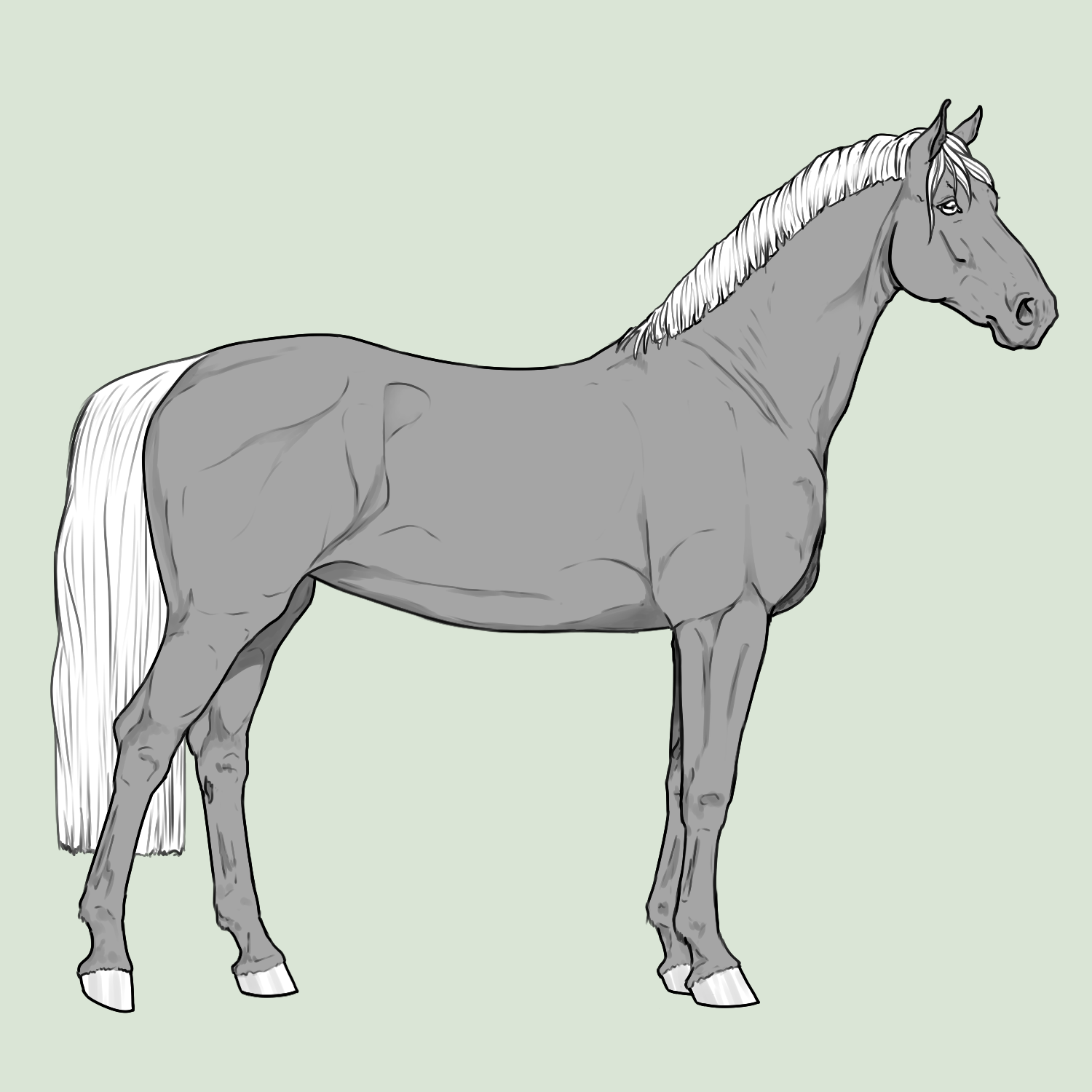 Horses Deviantart - mlx7nvb
