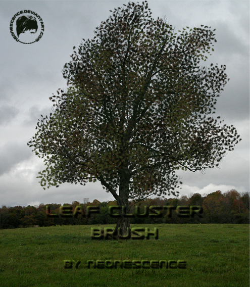 Leaf Cluster Brush