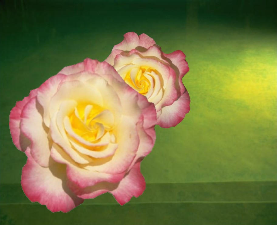 Two Flowers by americanredhead2 on DeviantArt