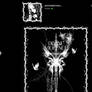 Steam Artwork - Divine Violence Profile