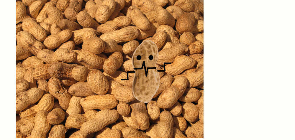 Peanut Snake 3 by WooperQuagsire on DeviantArt