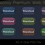 Glossy Premium Web Buttons