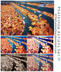 Photoshop Actions, Set 17