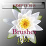 gimp flower tubes gbr brushes