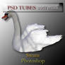 psd swan tubes with mask