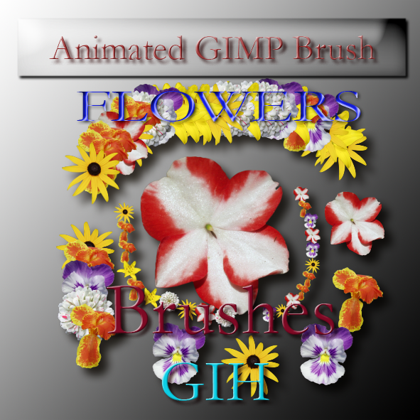 animated GIMP flowers brush by feniksas4 on DeviantArt
