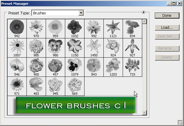 flower brushes c1