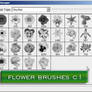 flower brushes c1