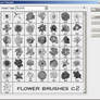 flower brushes c2