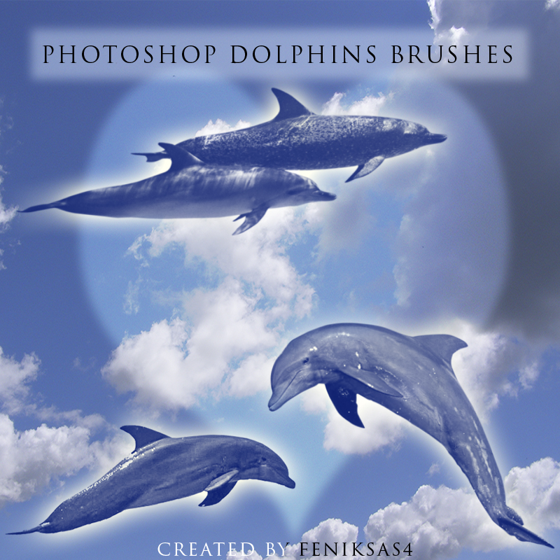 Photoshop dolphins brushes