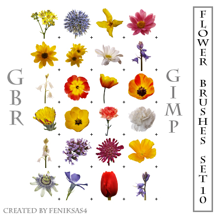 flower tubes part10 by feniksas4 on DeviantArt