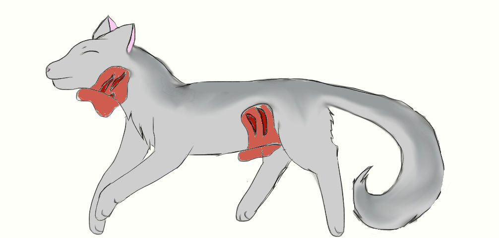 Featherpaw by NightmareClaws2456 on DeviantArt