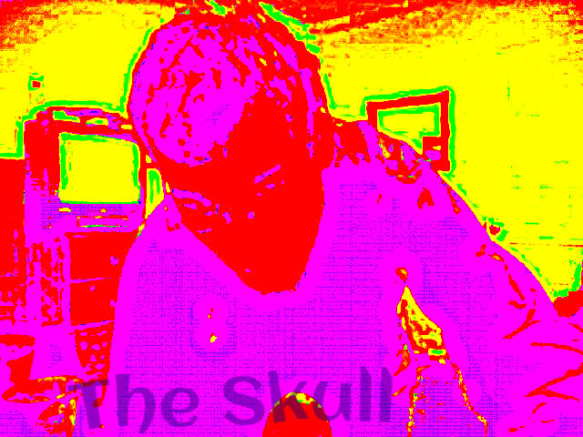Manipulated Selfie 160: A Logo For Me by TheSkull31 on DeviantArt